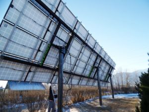 multi pole solar array backside