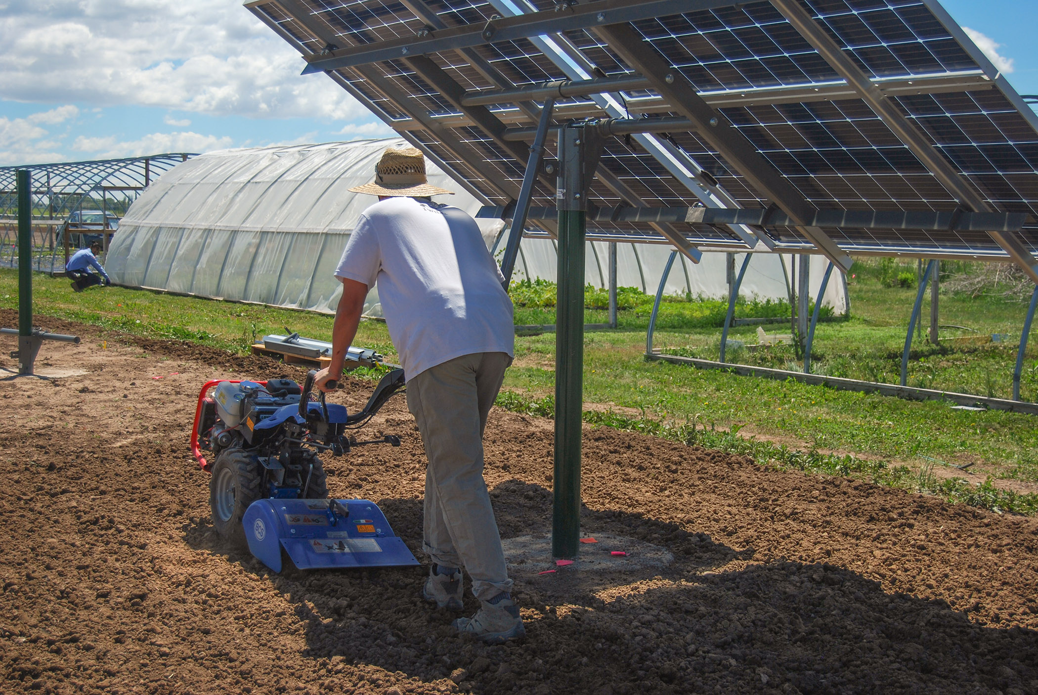 farmer tilling under pole mounted solar array