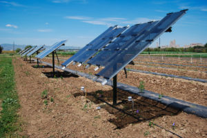 agrivoltaics test site at Colorado State University