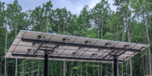 pole mount solar rises above forest canopy in upstate michigan