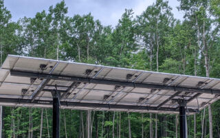 pole mount solar rises above forest canopy in upstate michigan