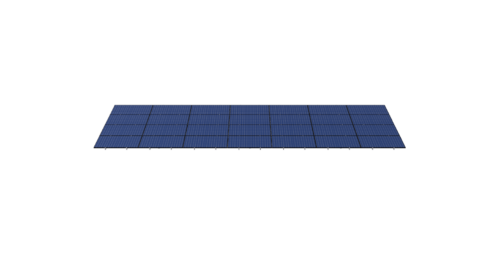 Ness - Image 4