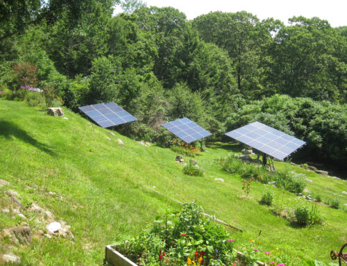 The Importance of Ground Clearance in Ground-Mount Solar Installations