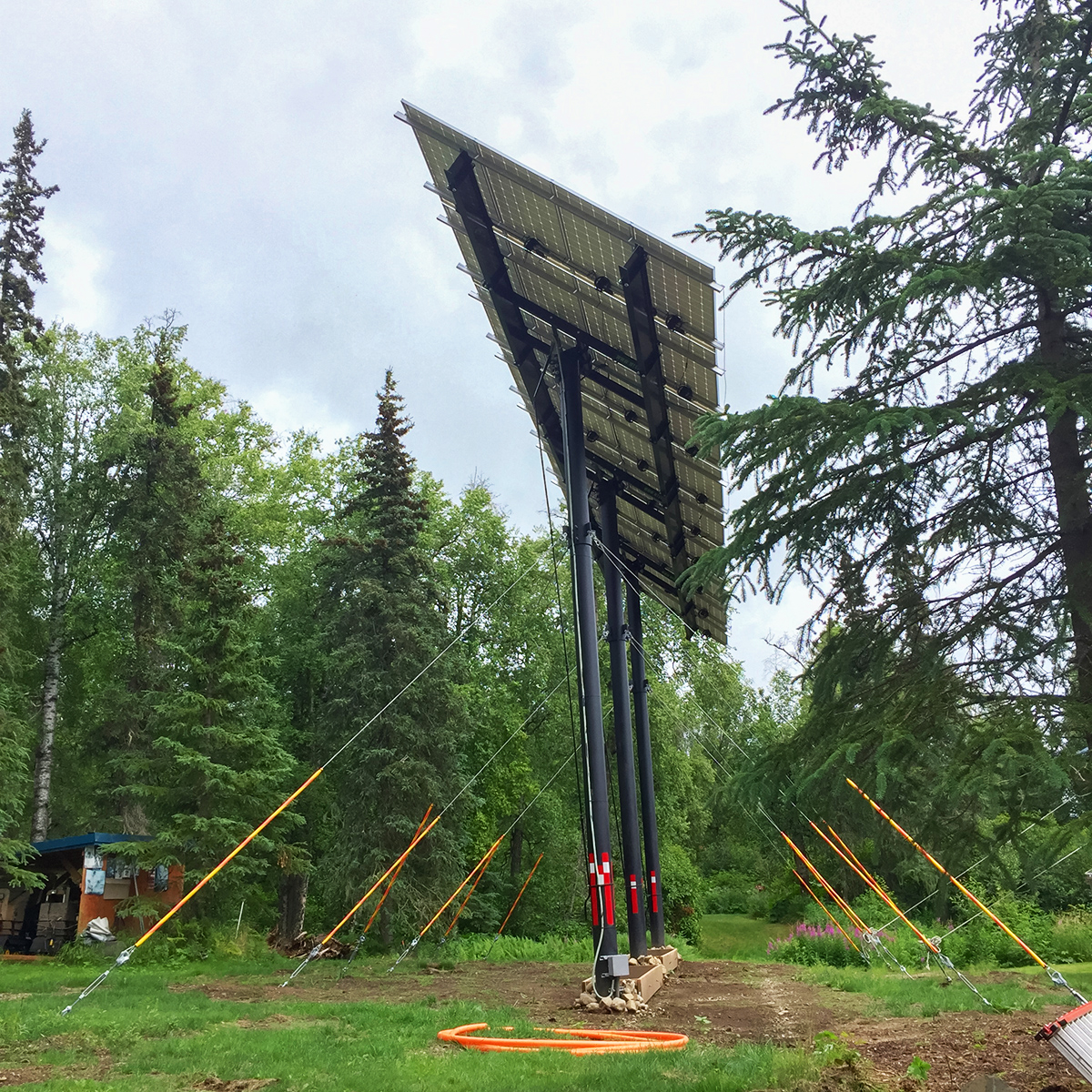 Ground Clearance solar module poles high off the ground rising above the trees.
