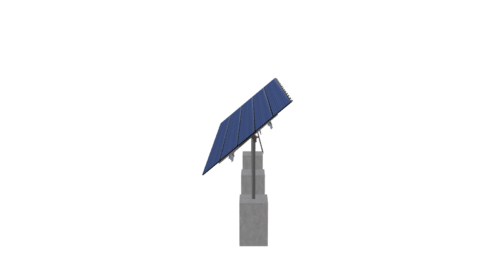 Fitzpatrick Small- v1 - Image 3