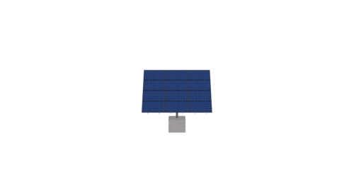 Foster - Image 2