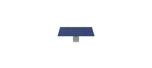 Zampini - Image 4