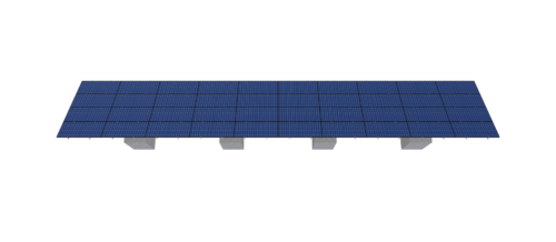 RG 255 - Image 4