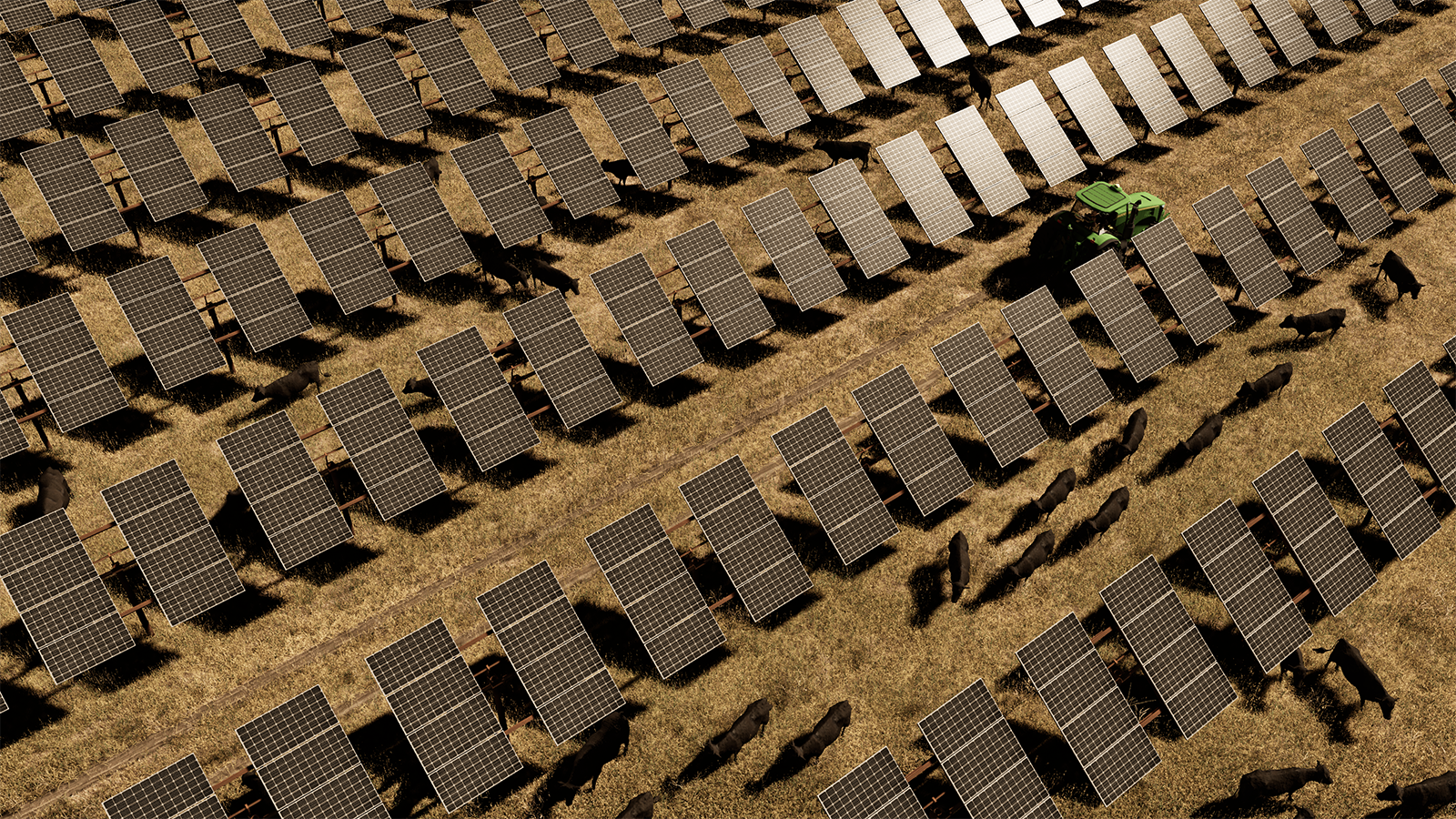 blog tractor solar grazing aerial aerial view of solar farm with cows and tractor