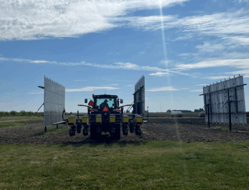 Testing Garden Vegetables Under Solar Arrays at the University of Illinois