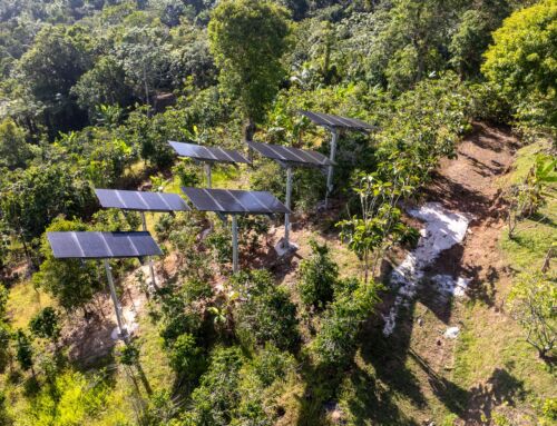 Twende Solar – Beridel Farm – Adjuntas, PR
