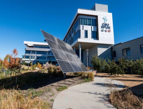 Green Roof Agrivoltaics Gets a Boost From Ground at CSU Spur – Sandbox Solar – Denver, CO